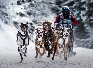 Страхотно състезание 